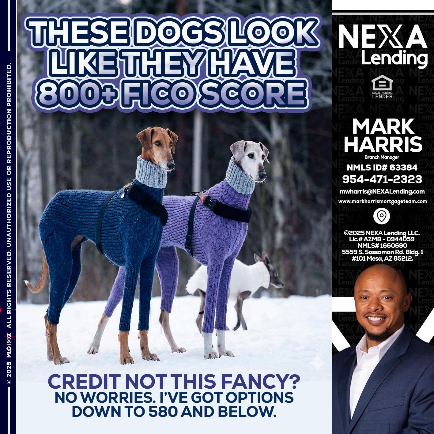 THESE DOGS LOOK - Mark Harris -Loan Officer